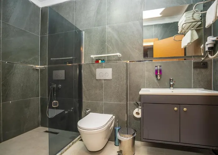 216 Palace 3* Istanbulská provincie